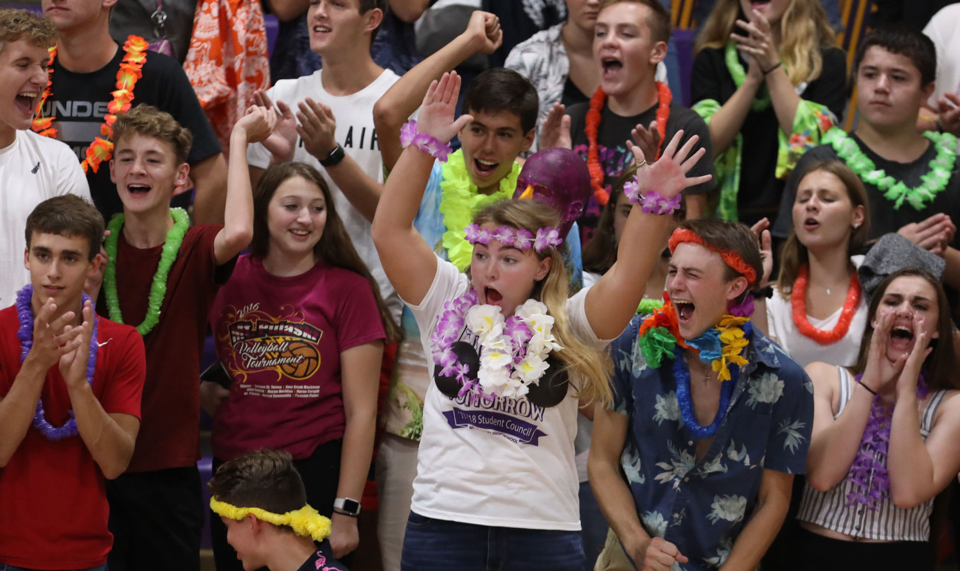 FBP Mt Pulaski vs St Teresa volleyball 6 9.11.18.jpg